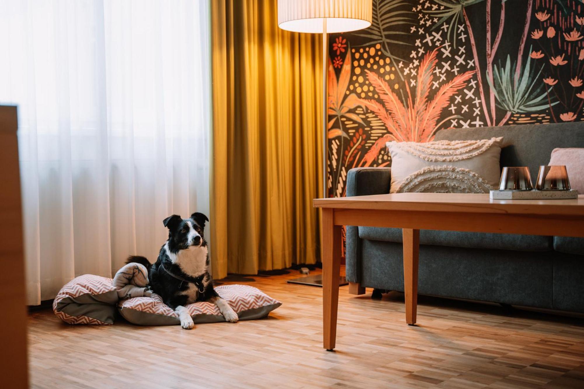 סנט לאמברכט Hotel Auszeit St Lambrecht מראה חיצוני תמונה